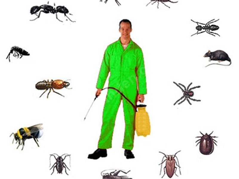 Buca Böcek İlaçlama